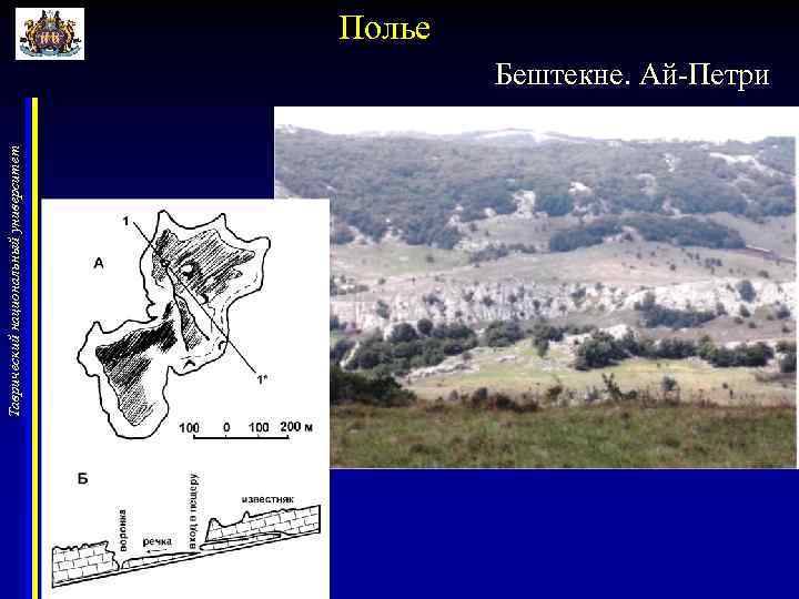 Таврический национальный университет Полье Бештекне. Ай-Петри 