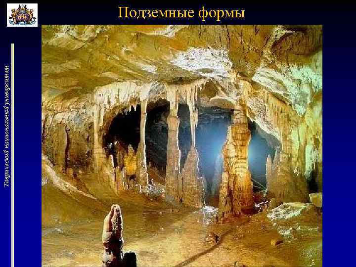 Таврический национальный университет. Подземные формы 