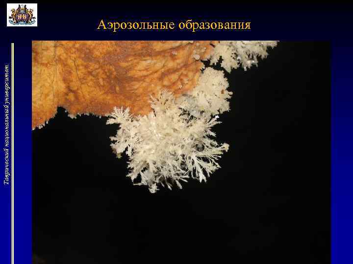 Таврический национальный университет. Аэрозольные образования 