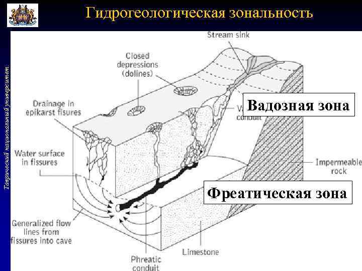 Таврический национальный университет. Гидрогеологическая зональность Вадозная зона Фреатическая зона 