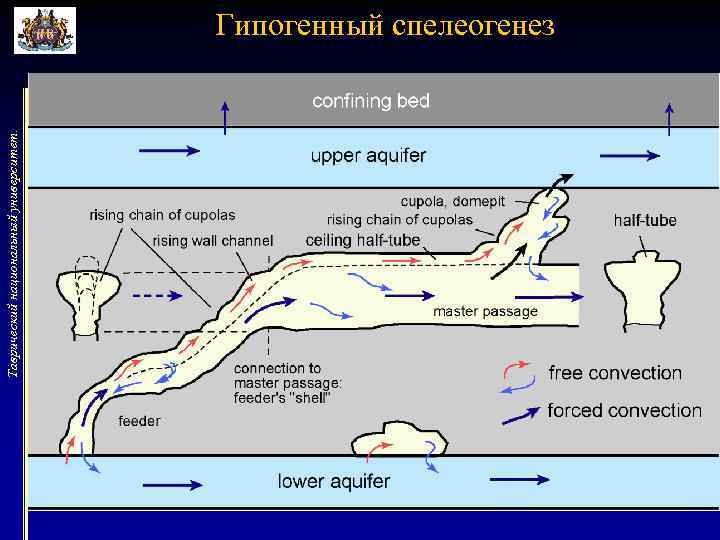 Таврический национальный университет. Гипогенный спелеогенез 