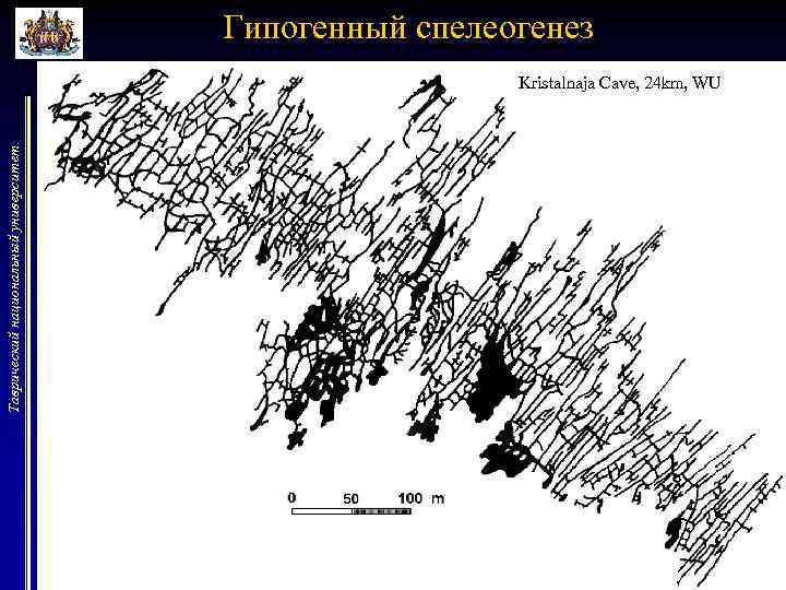 Гипогенный спелеогенез Таврический национальный университет. Kristalnaja Cave, 24 km, WU 