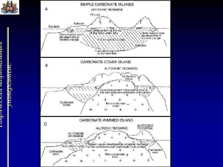 Таврический национальный университет. 