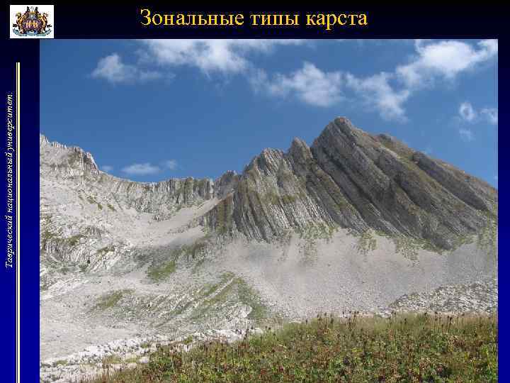Таврический национальный университет. Зональные типы карста 