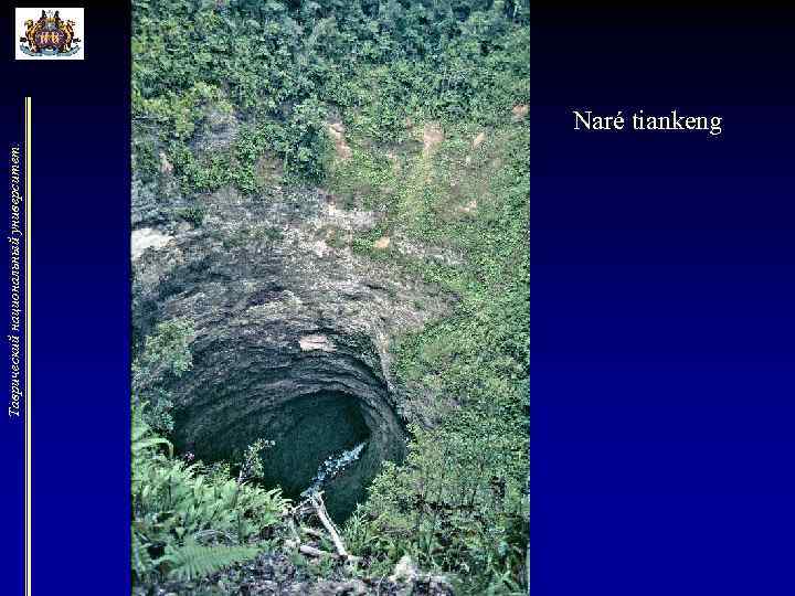 Таврический национальный университет. Naré tiankeng 