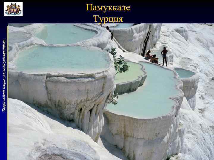 Таврический национальный университет. Памуккале Турция 