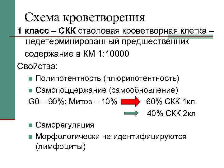 Гемопоэз схема кроветворения