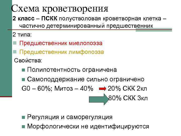 Схема кроветворения 2 класс – ПСКК полустволовая кроветворная клетка –  частично детерминированный предшественник