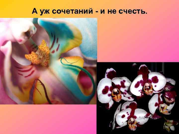 А уж сочетаний - и не счесть. 