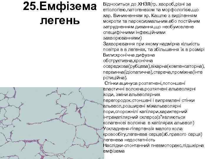 25. Емфізема легень Відноситься до ХНЗЛ(гр. хвороб, різні за етіологіею, патогенезом та морфологією, що