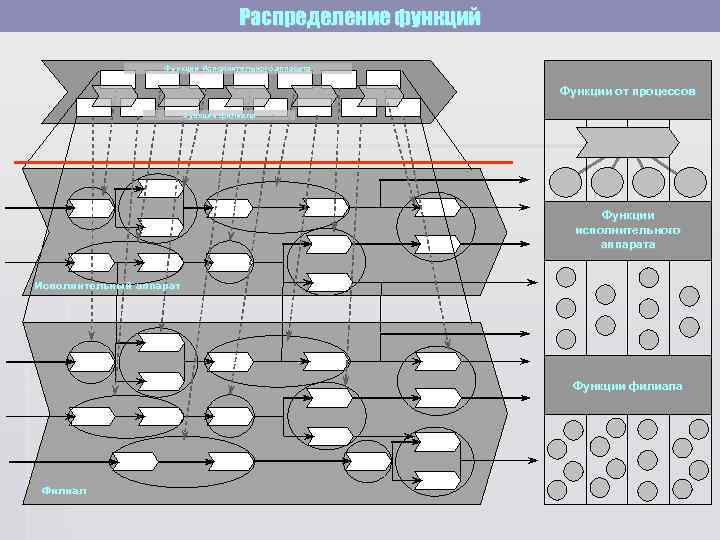       Распределение функций     Функции Исполнительного