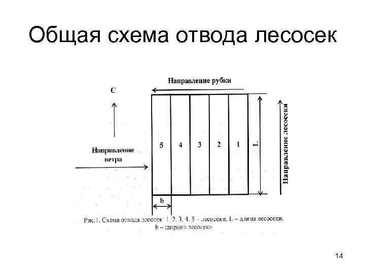 Общая схема отвода лесосек     14 