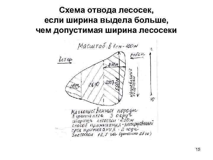 Слово ширина. Схема отвода лесосеки. План отвода лесосеки. Ширина лесосеки. Документация по отводу лесосек.