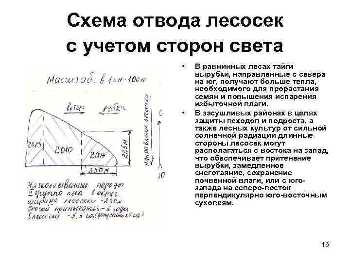 План отвода лесосеки