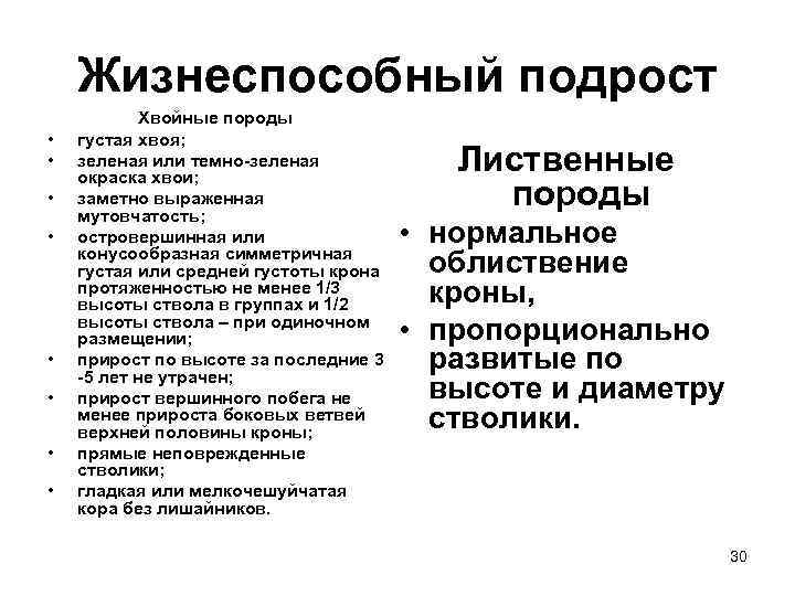   Жизнеспособный подрост   Хвойные породы •  густая хвоя;  •