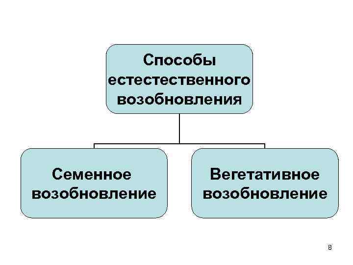   Способы  естестественного   возобновления Семенное  Вегетативное возобновление  