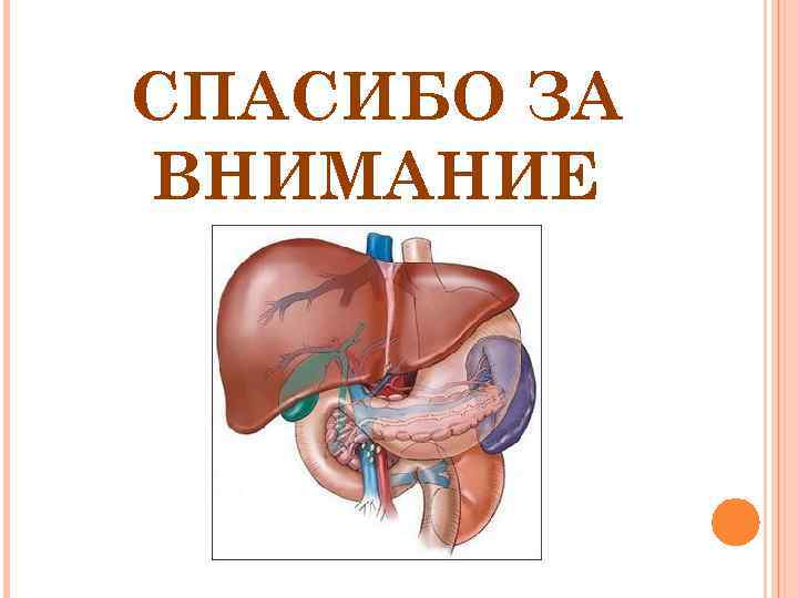 СПАСИБО ЗА ВНИМАНИЕ 