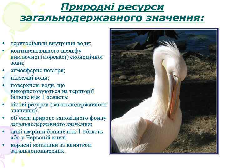   Природні ресурси  загальнодержавного значення:  • територіальні внутрішні води;  •