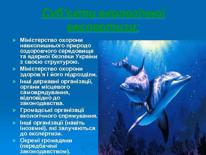   Суб’єкти екологічної    експертизи: Ø  Міністерство охорони навколишнього природо