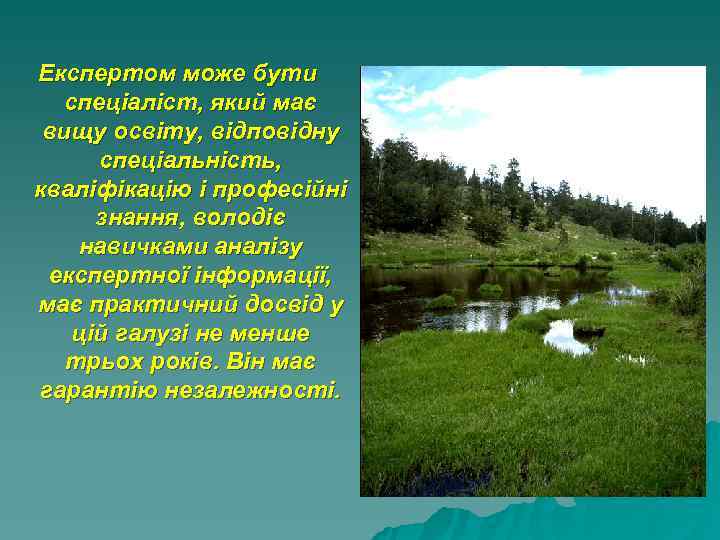 Експертом може бути  спеціаліст, який має вищу освіту, відповідну  спеціальність, кваліфікацію і