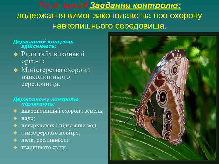  Гл. 8, ст. 34 Завдання контролю:  додержання вимог законодавства про охорону 