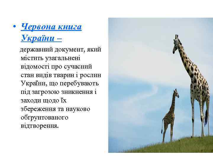  • Червона книга  України – державний документ, який містить узагальнені відомості про