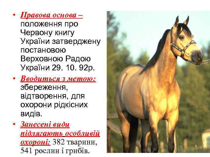  • Правова основа –  положення про  Червону книгу  України затверджену