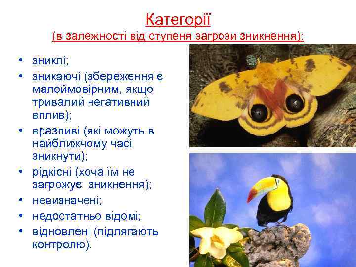      Категорії (в залежності від ступеня загрози зникнення):  •