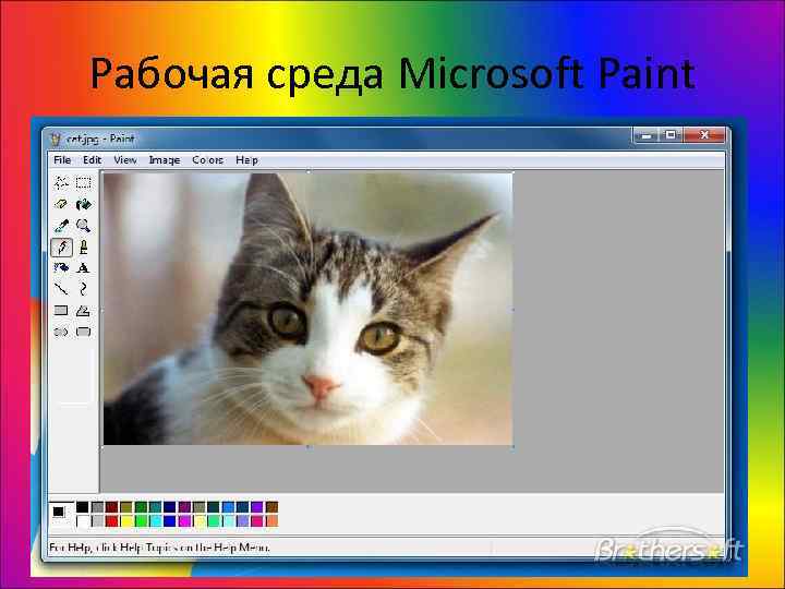 Рабочая среда Microsoft Paint 