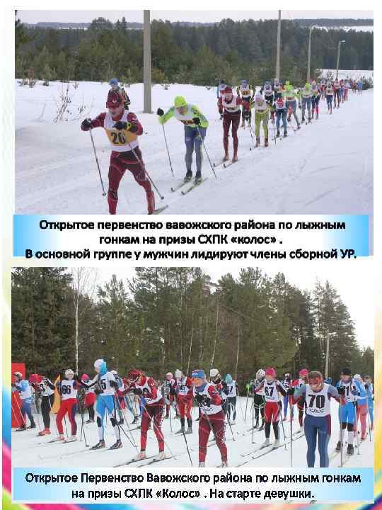 Открытое Первенство Вавожского района по лыжным гонкам на призы СХПК «Колос» На старте девушки.