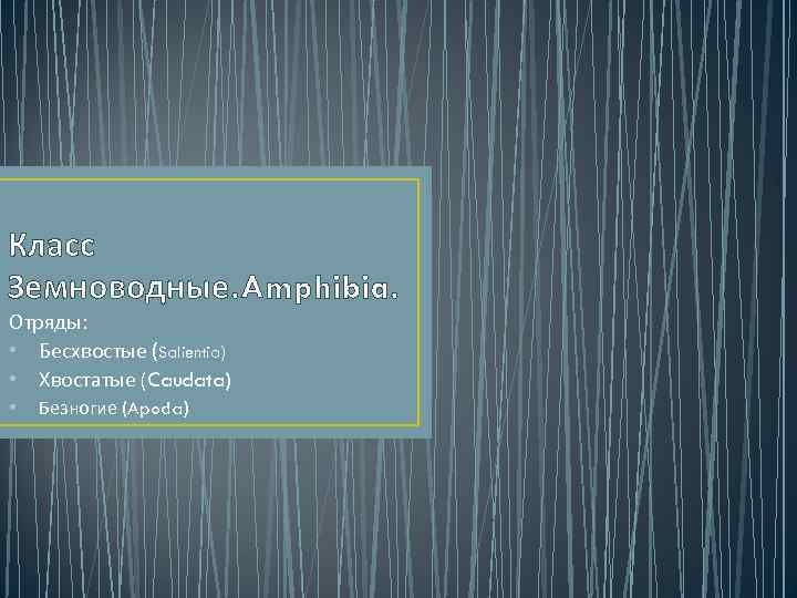 Класс Земноводные. Amphibia. Отряды:  • Бесхвостые (Salientia) • Хвостатые (Caudata) •  Безногие