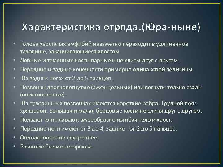  Характеристика отряда. (Юра-ныне) • Голова хвостатых амфибий незаметно переходит в удлиненное  туловище,
