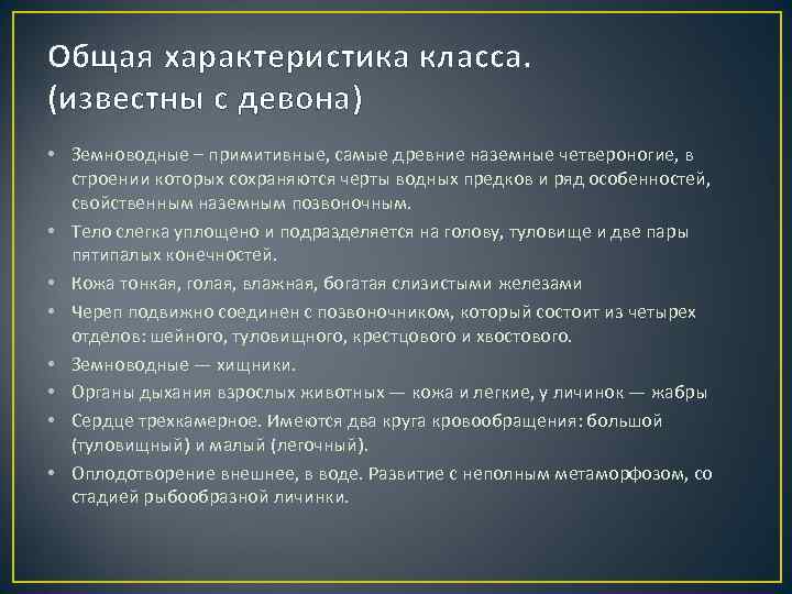 Общая характеристика класса. (известны с девона) • Земноводные – примитивные, самые древние наземные четвероногие,