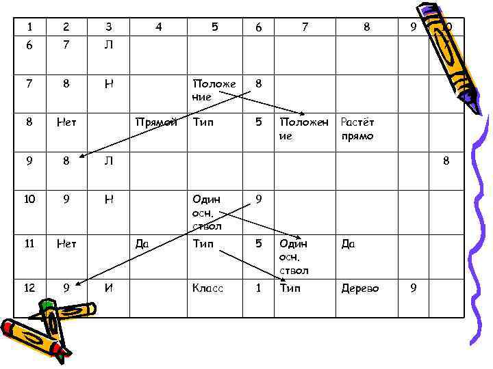 1  2 3  4 5 6   7  8 