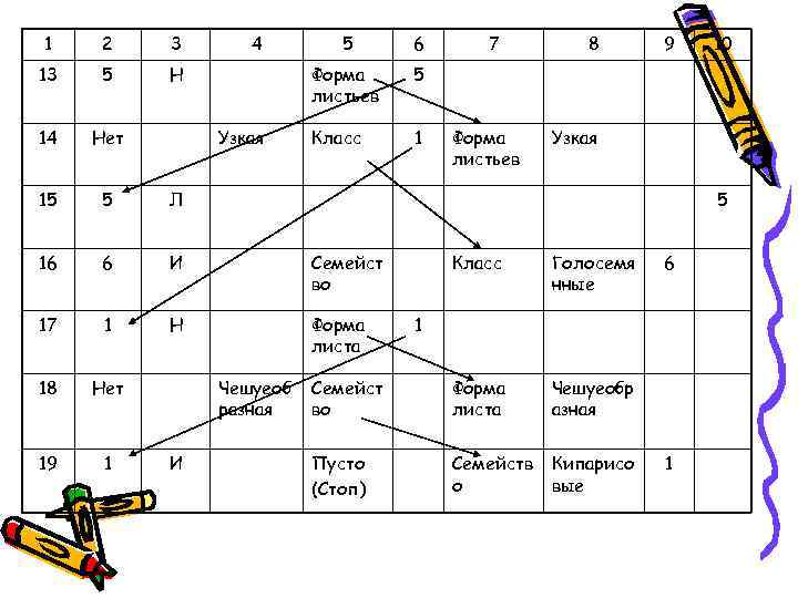 1  2 3 4   5 6 7  8 9 