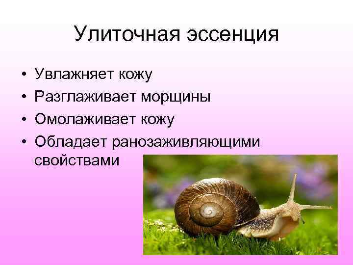   Улиточная эссенция •  Увлажняет кожу •  Разглаживает морщины • 