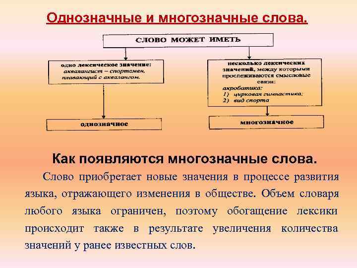 Однозначные слова примеры