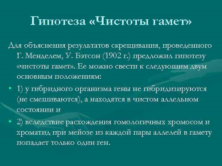 Гипотеза «Чистоты гамет» Для объяснения результатов скрещивания, проведенного Г. Менделем, У. Бэтсон Гипотеза «Чистоты гамет» Для объяснения результатов скрещивания, проведенного Г. Менделем, У. Бэтсон
