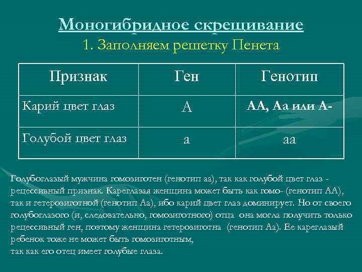 По этой схеме можно проследить наследования гена 11 букв первая р