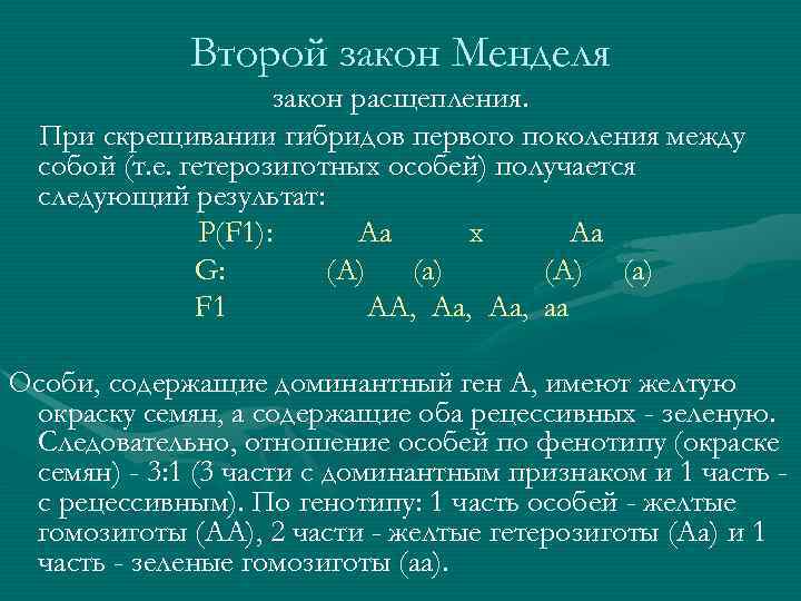 Второй закон Менделя закон расщепления. При скрещивании Второй закон Менделя закон расщепления. При скрещивании