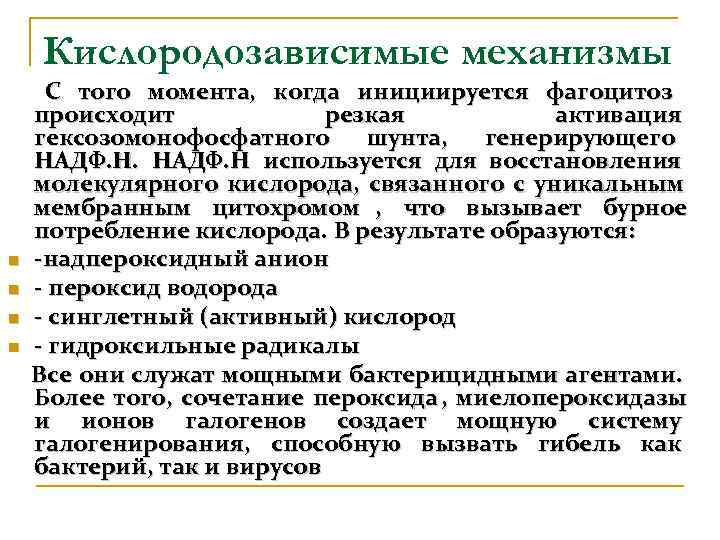   Кислородозависимые механизмы С того момента, когда инициируется фагоцитоз происходит   резкая