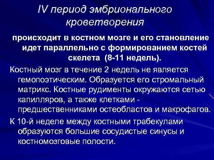  IV период эмбрионального   кроветворения происходит в костном мозге и его становление