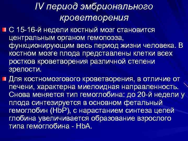   IV период эмбрионального   кроветворения С 15 -16 -й недели костный