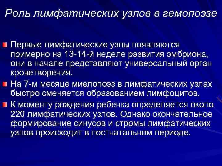 Роль лимфатических узлов в гемопоэзе Первые лимфатические узлы появляются примерно на 13 -14 -й