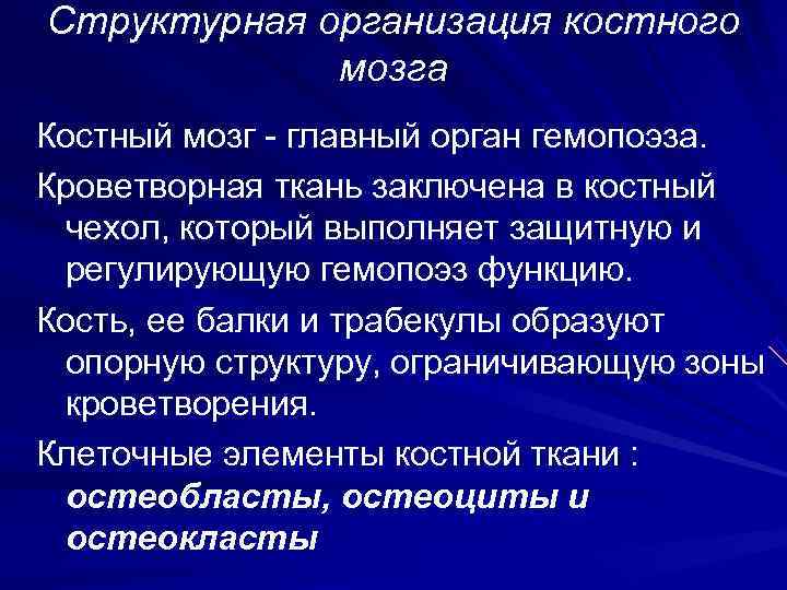 Структурная организация костного   мозга Костный мозг - главный орган гемопоэза. Кроветворная ткань