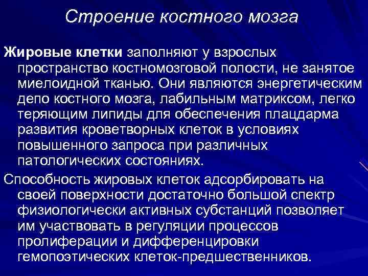   Строение костного мозга Жировые клетки заполняют у взрослых пространство костномозговой полости, не