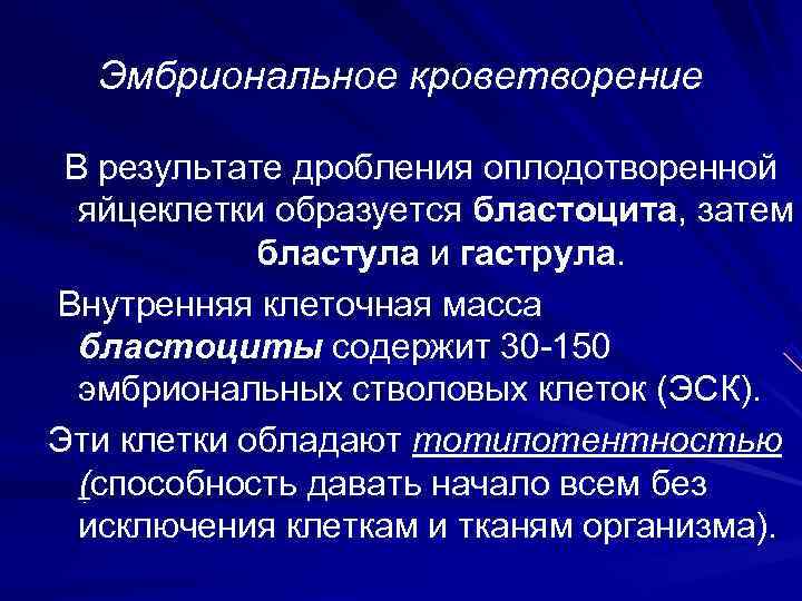  Эмбриональное кроветворение  В результате дробления оплодотворенной  яйцеклетки образуется бластоцита, затем 