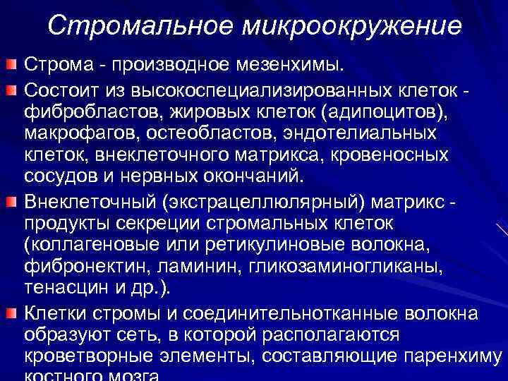  Стромальное микроокружение Строма - производное мезенхимы. Состоит из высокоспециализированных клеток - фибробластов, жировых