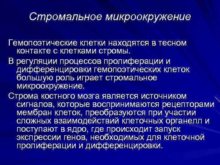   Стромальное микроокружение Гемопоэтические клетки находятся в тесном  контакте с клетками стромы.
