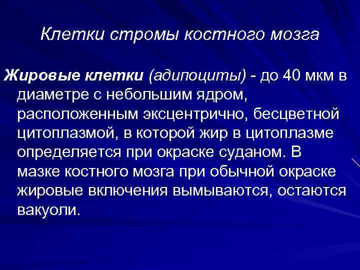   Клетки стромы костного мозга Жировые клетки (адипоциты) - до 40 мкм в
